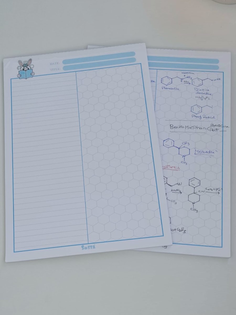 IMG_20240728_20144671_1 A4 Organic Notepad 1 - الصورة 1